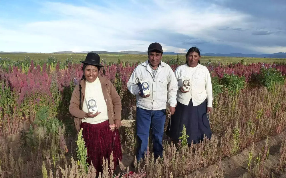 peruvian quinoa farmers