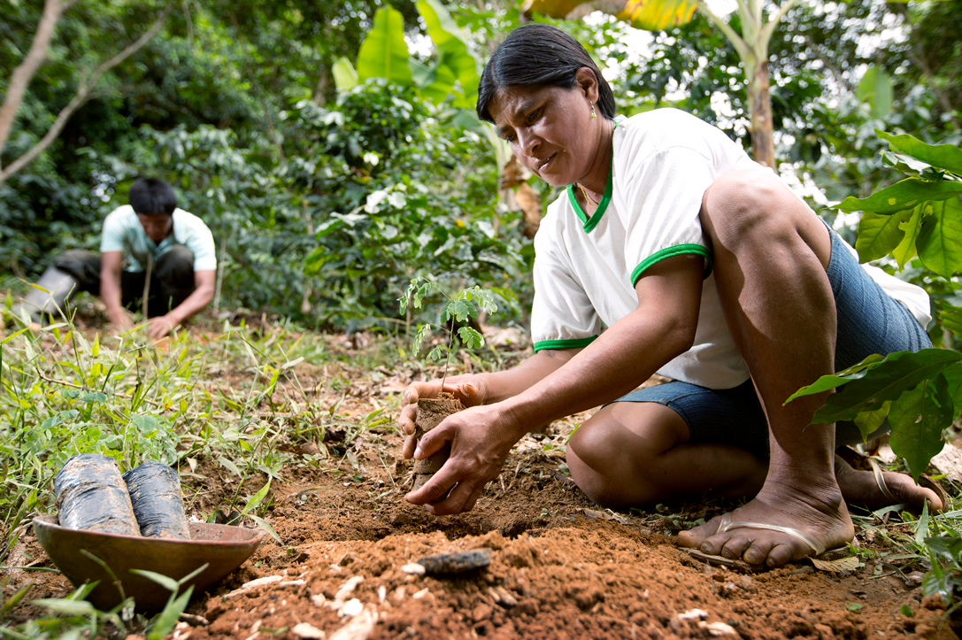 volunteers peru