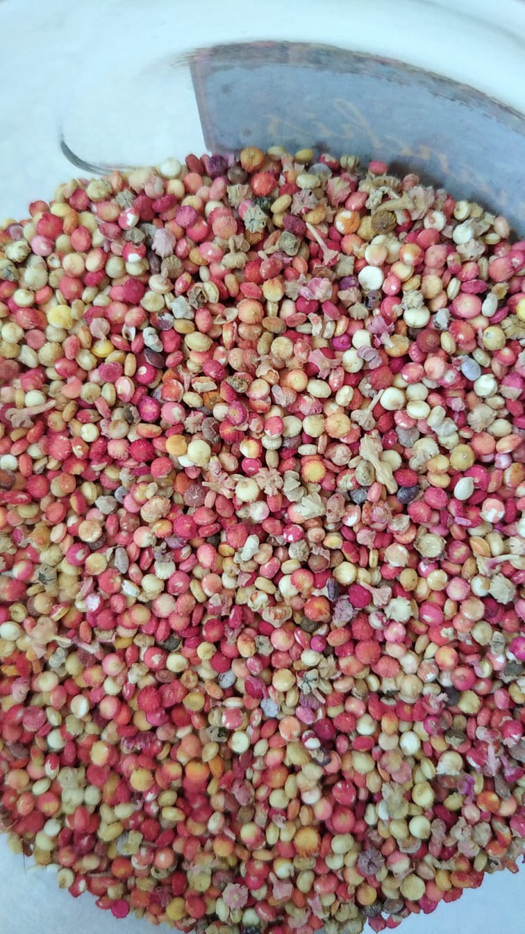 bowl of quinoa seeds 